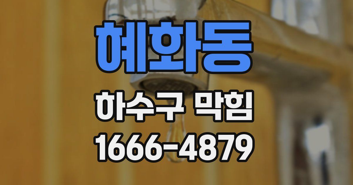 혜화동 하수구 막힘