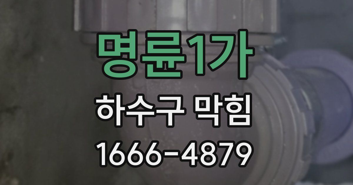명륜1가 하수구 막힘