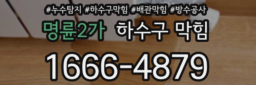 명륜2가 하수구 막힘