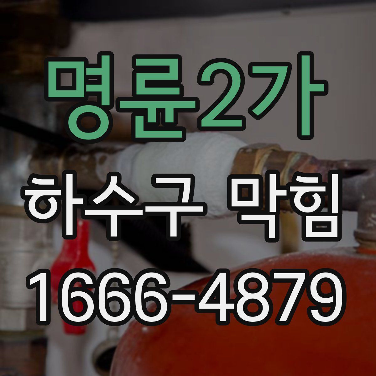 명륜2가 하수구 막힘