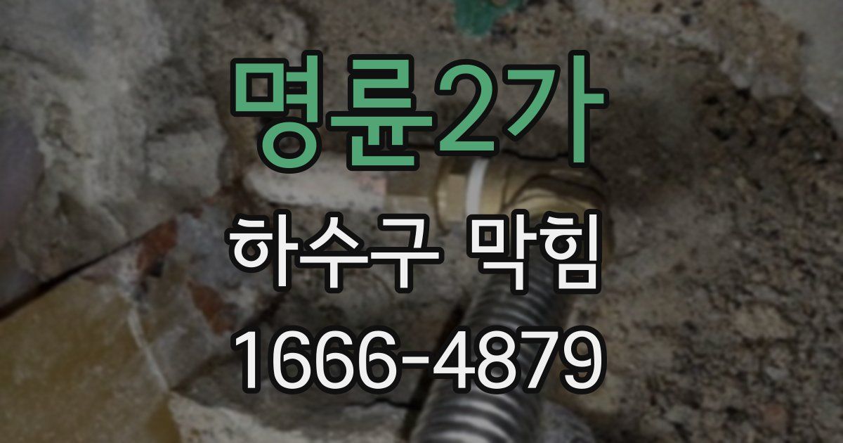 명륜2가 하수구 막힘