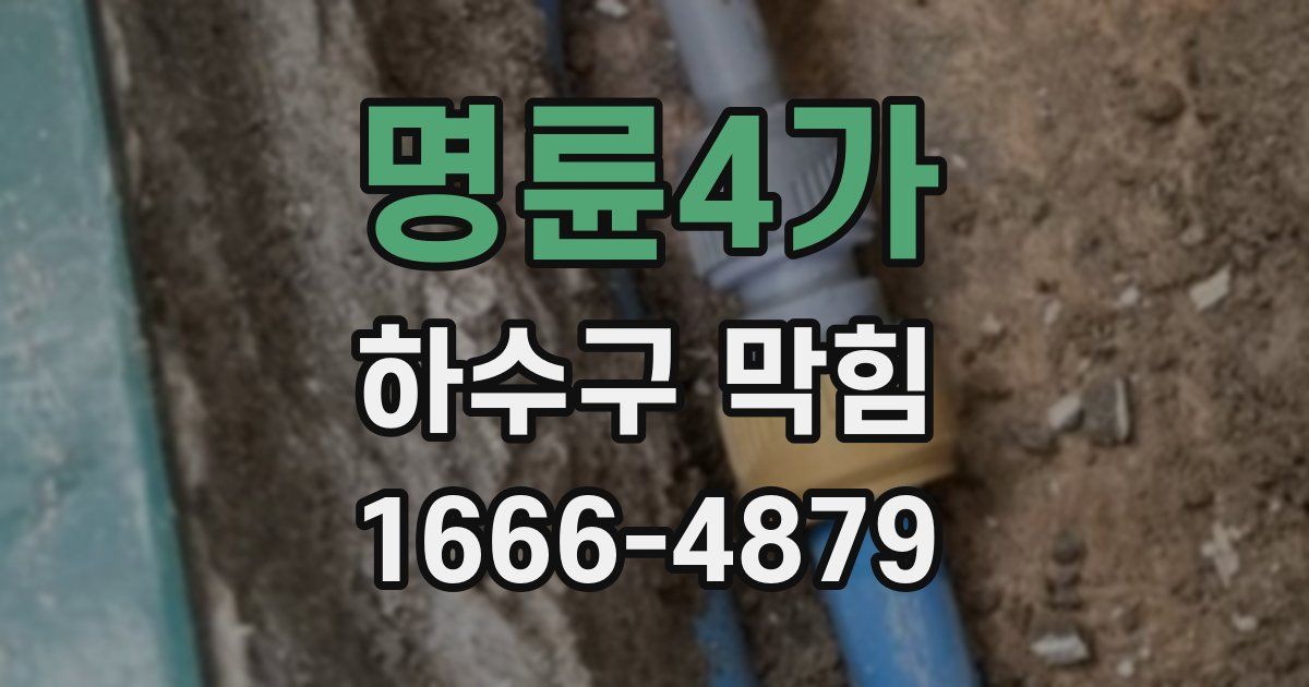 명륜4가 하수구 막힘