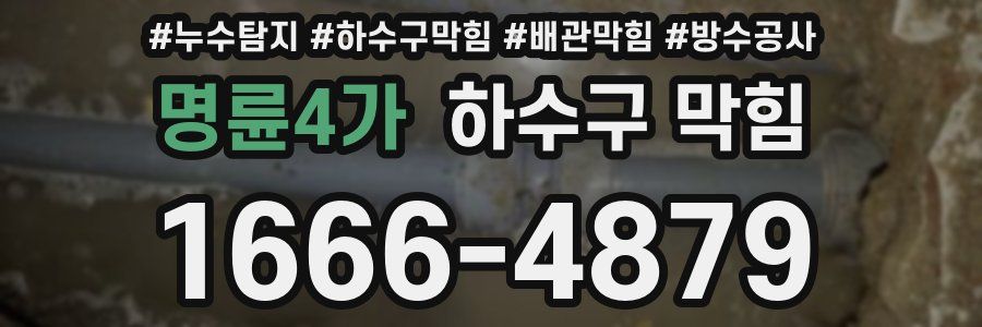 명륜4가 하수구 막힘