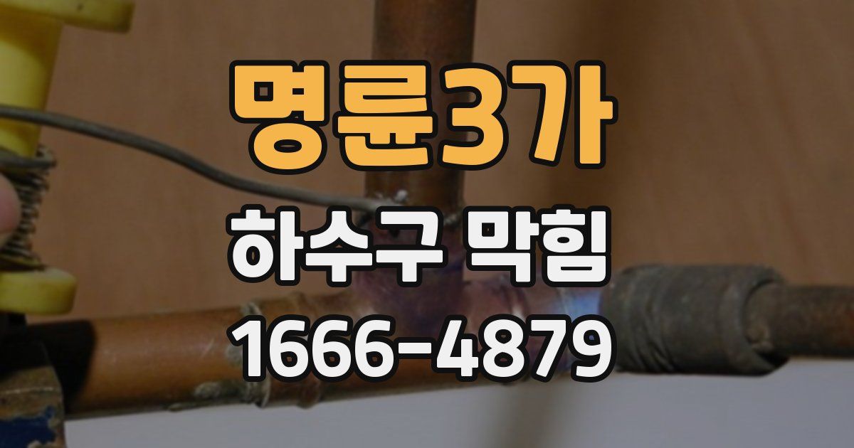 명륜3가 하수구 막힘
