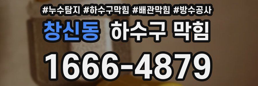 창신동 하수구 막힘