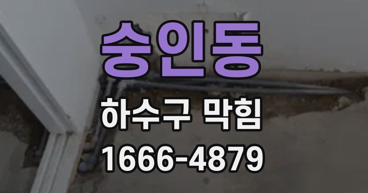 숭인동 하수구 막힘