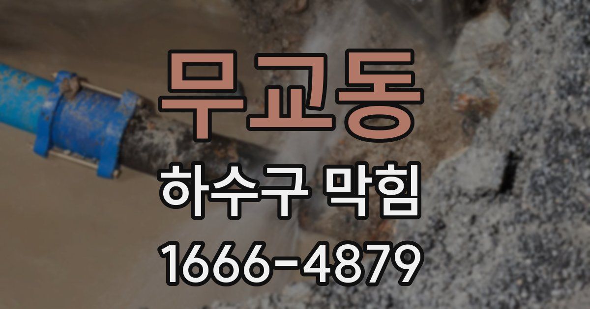 무교동 하수구 막힘
