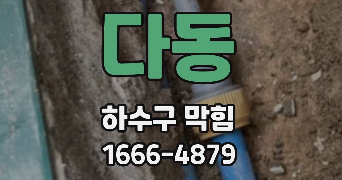 다동 하수구 막힘