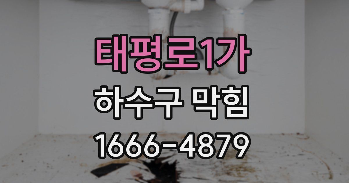 태평로1가 하수구 막힘