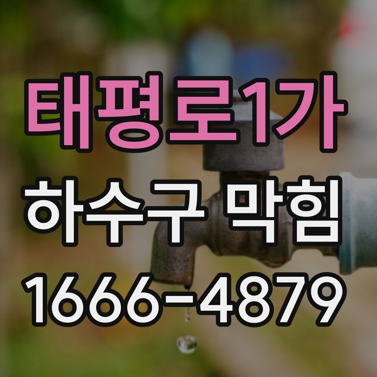 태평로1가 하수구 막힘