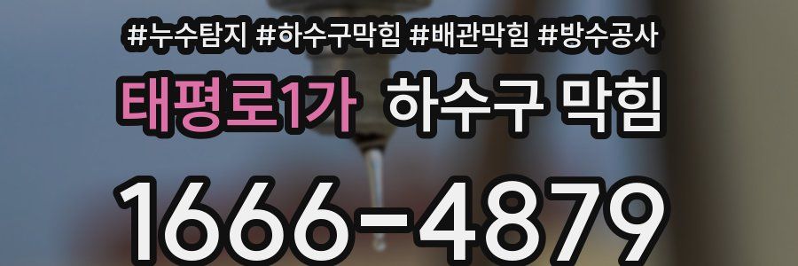 태평로1가 하수구 막힘