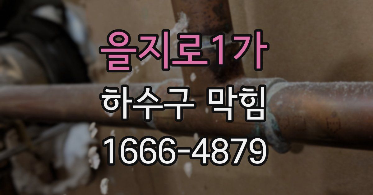 을지로1가 하수구 막힘