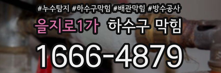 을지로1가 하수구 막힘