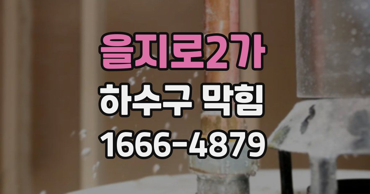을지로2가 하수구 막힘