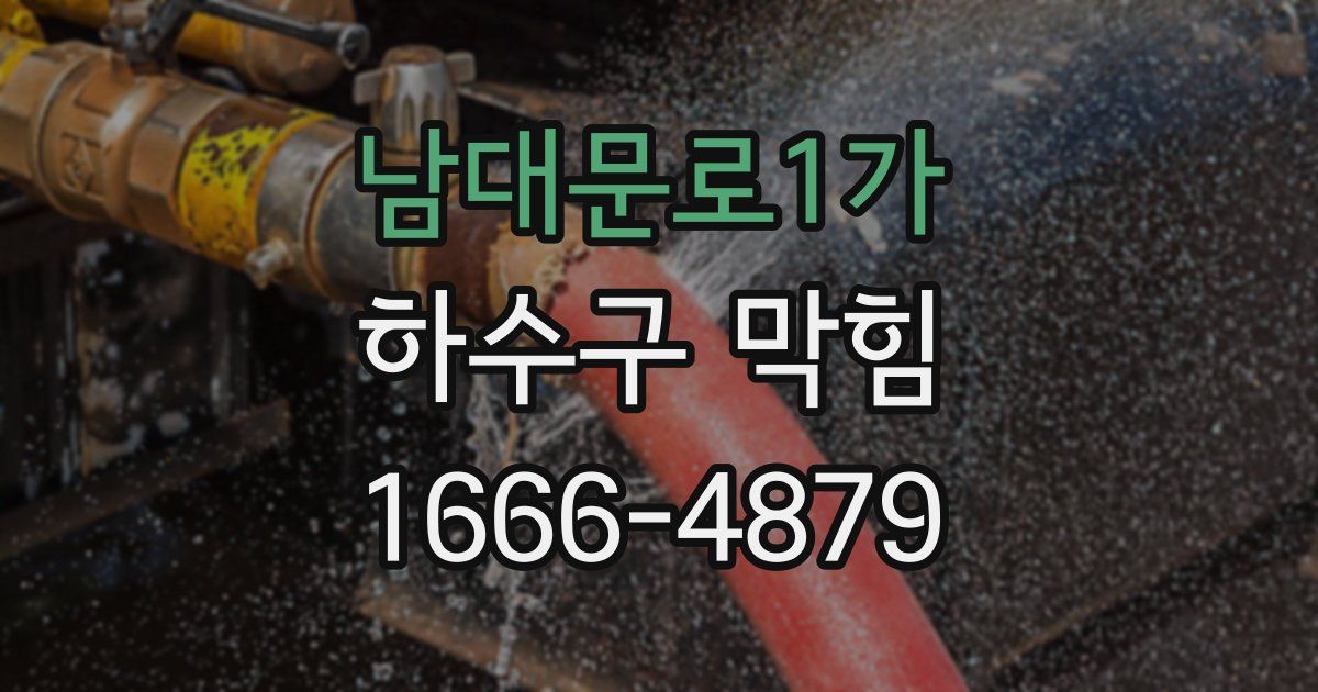 남대문로1가 하수구 막힘