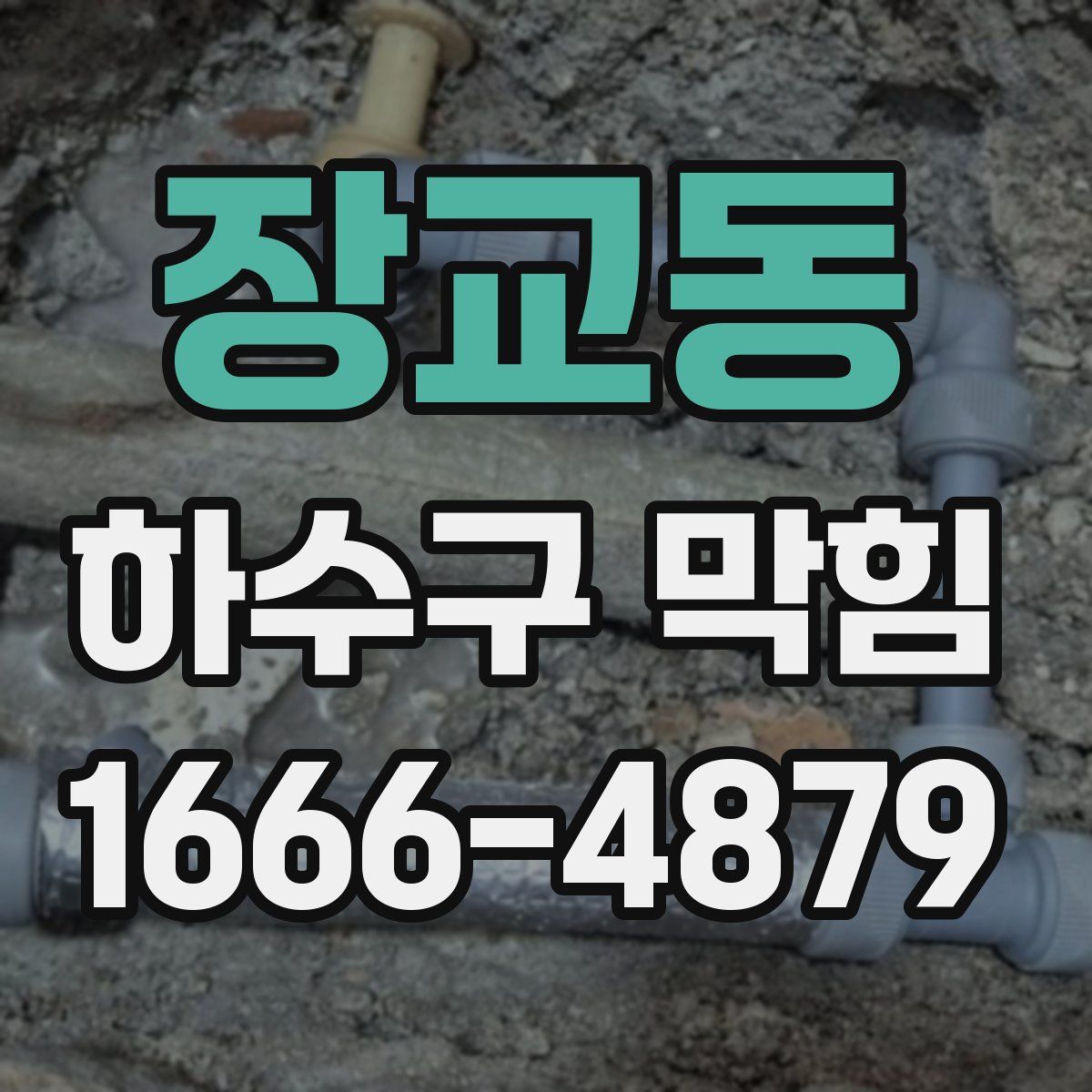 장교동 하수구 막힘