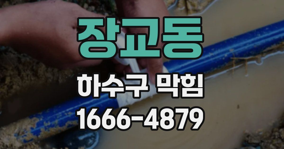 장교동 하수구 막힘