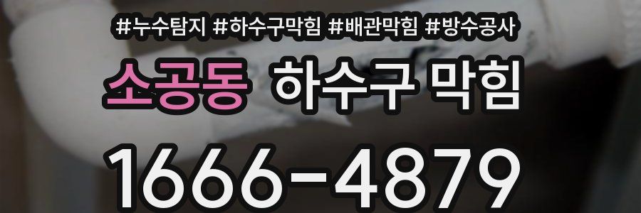 소공동 하수구 막힘