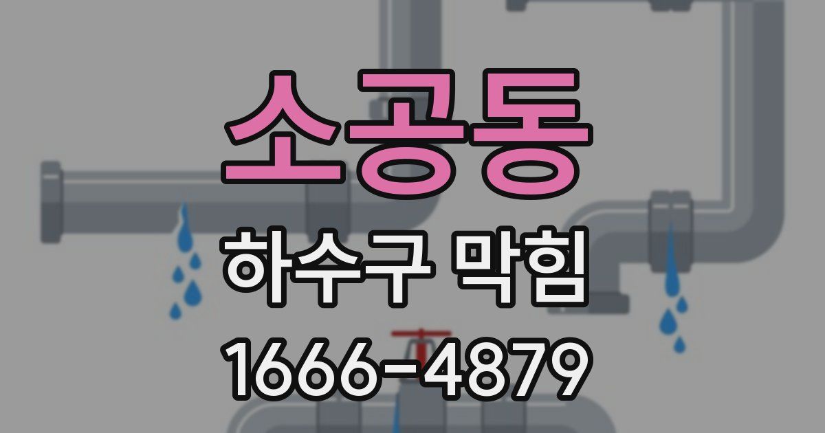 소공동 하수구 막힘