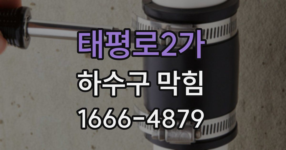 태평로2가 하수구 막힘