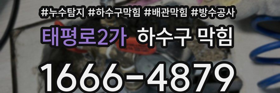 태평로2가 하수구 막힘