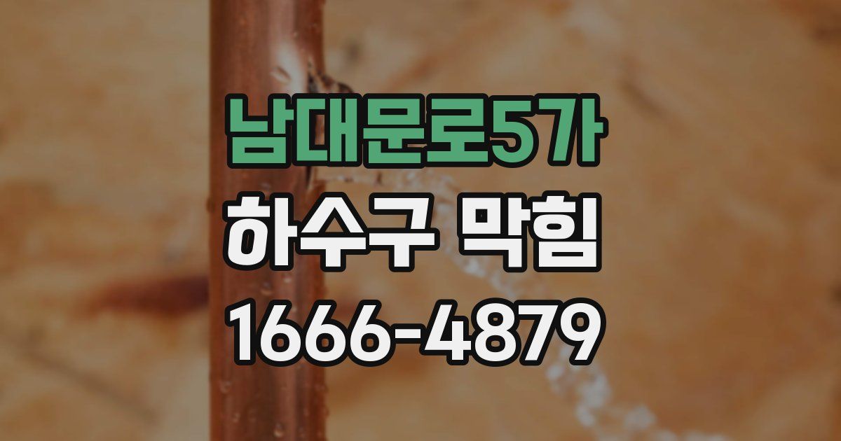 남대문로5가 하수구 막힘
