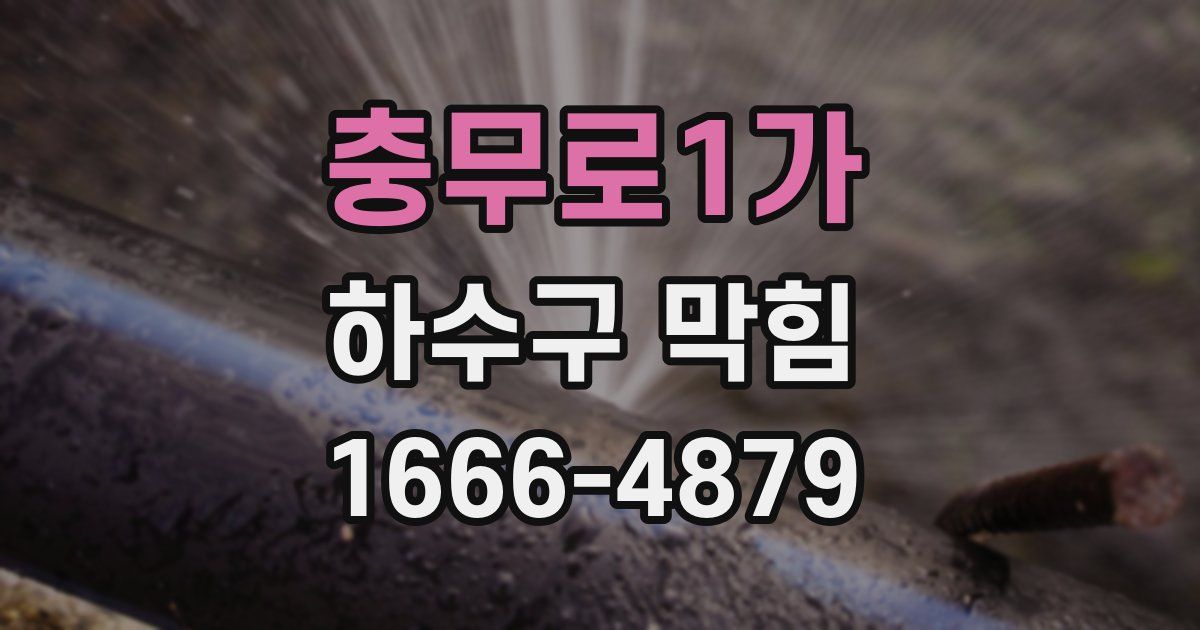 충무로1가 하수구 막힘
