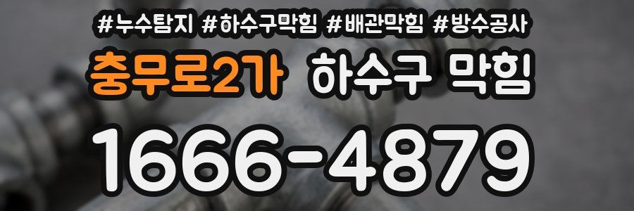 충무로2가 하수구 막힘