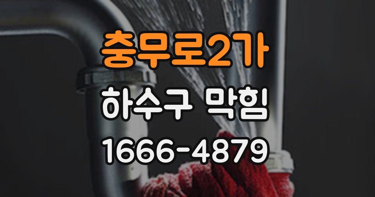 충무로2가 하수구 막힘