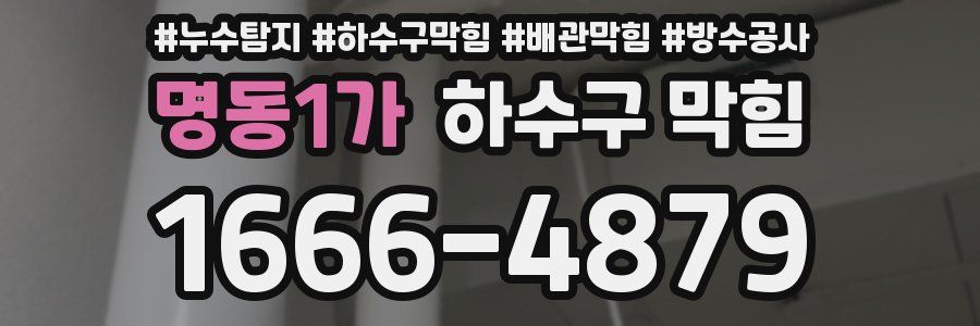 명동1가 하수구 막힘
