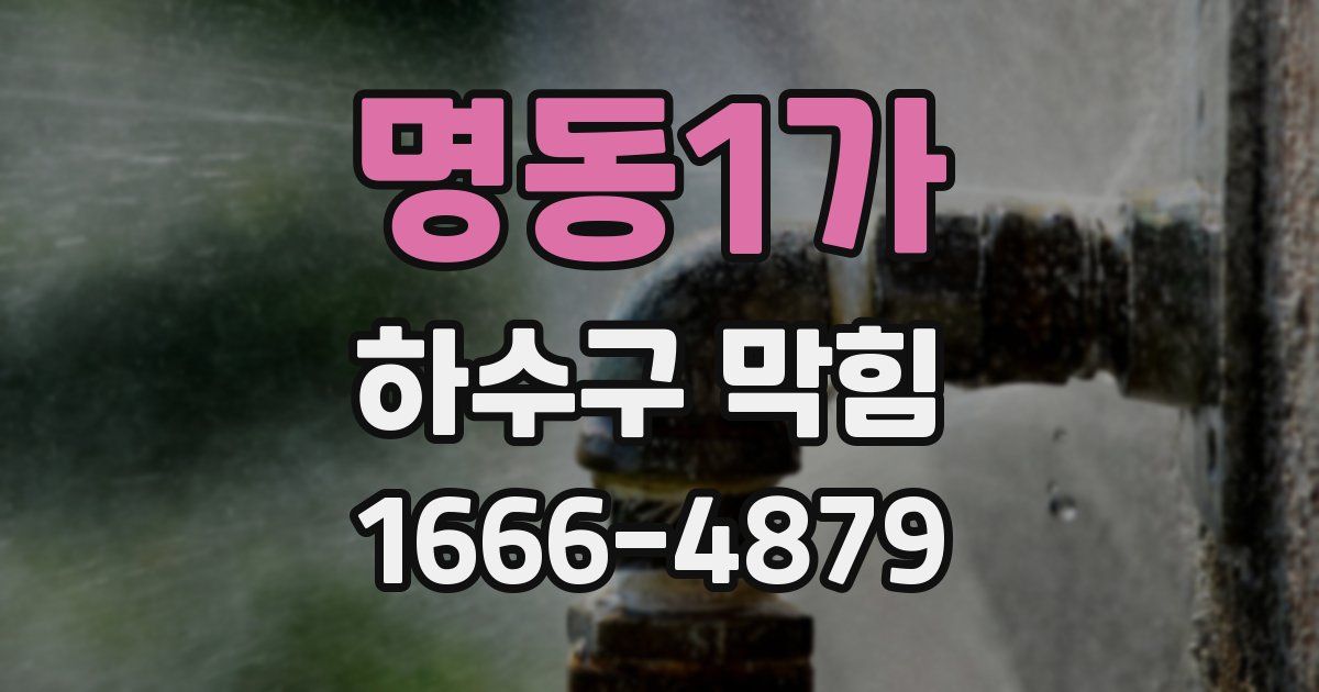 명동1가 하수구 막힘