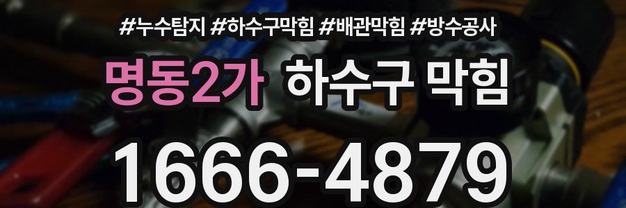 명동2가 하수구 막힘