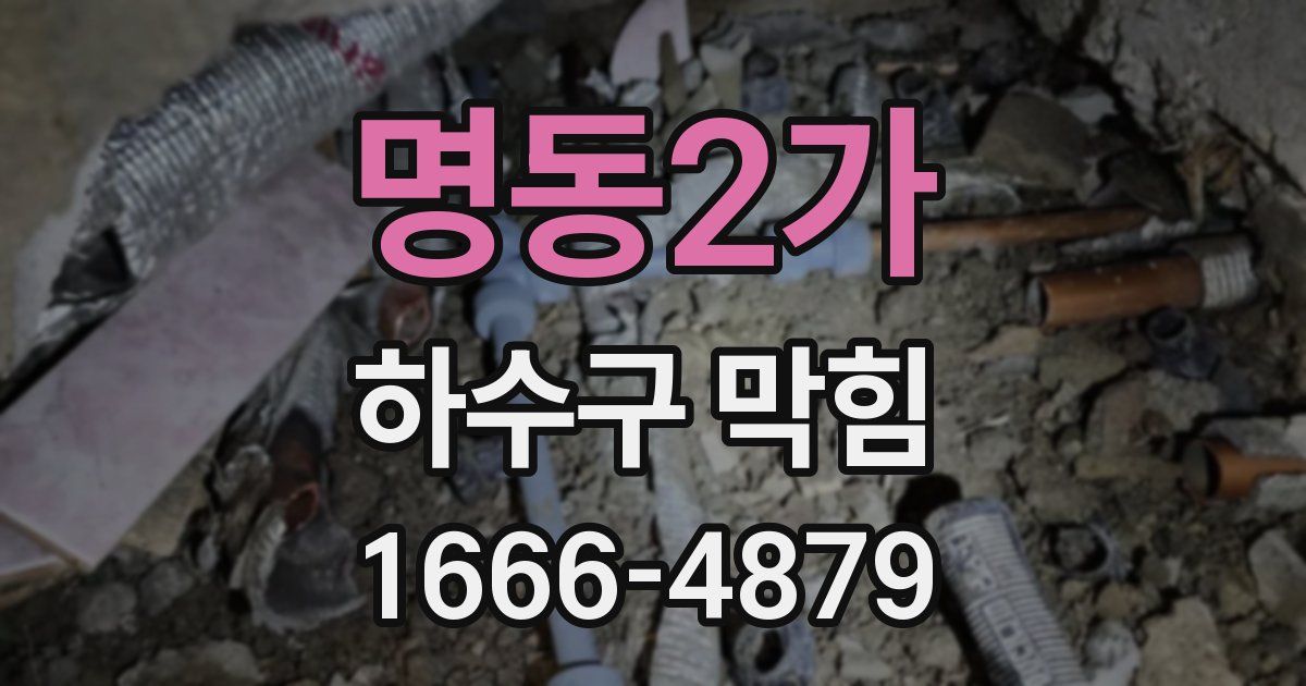 명동2가 하수구 막힘