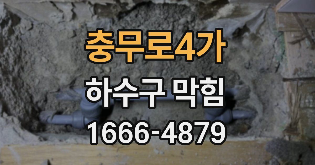 충무로4가 하수구 막힘