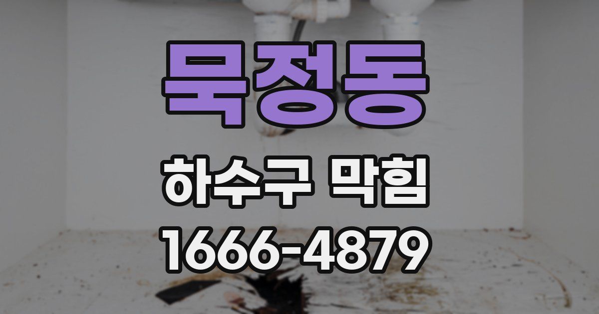 묵정동 하수구 막힘