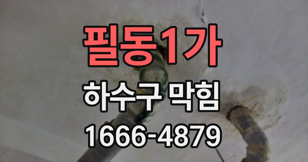 필동1가 하수구 막힘