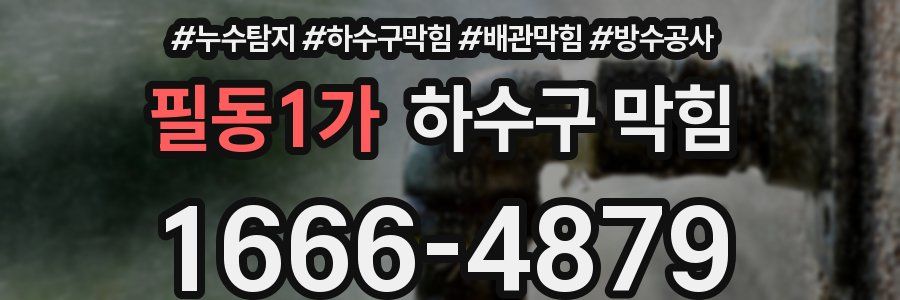 필동1가 하수구 막힘