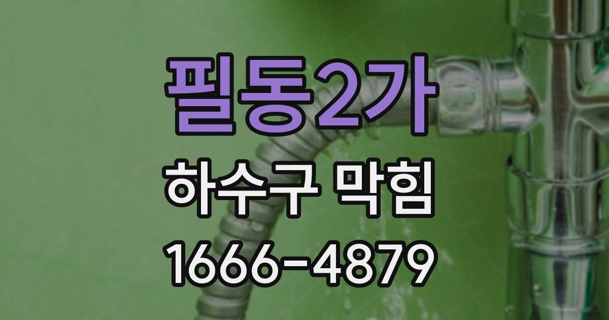 필동2가 하수구 막힘