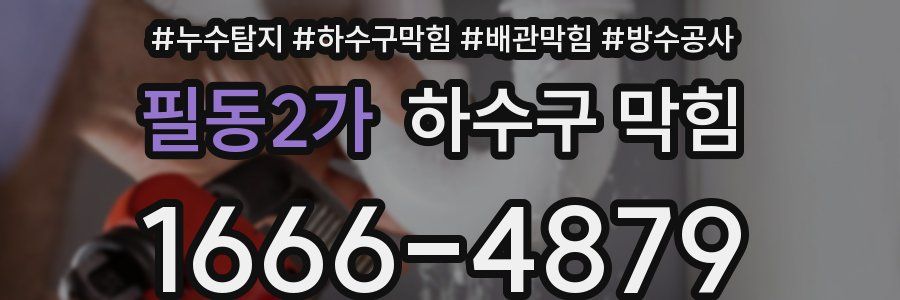 필동2가 하수구 막힘