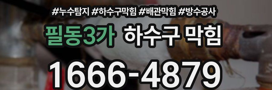 필동3가 하수구 막힘