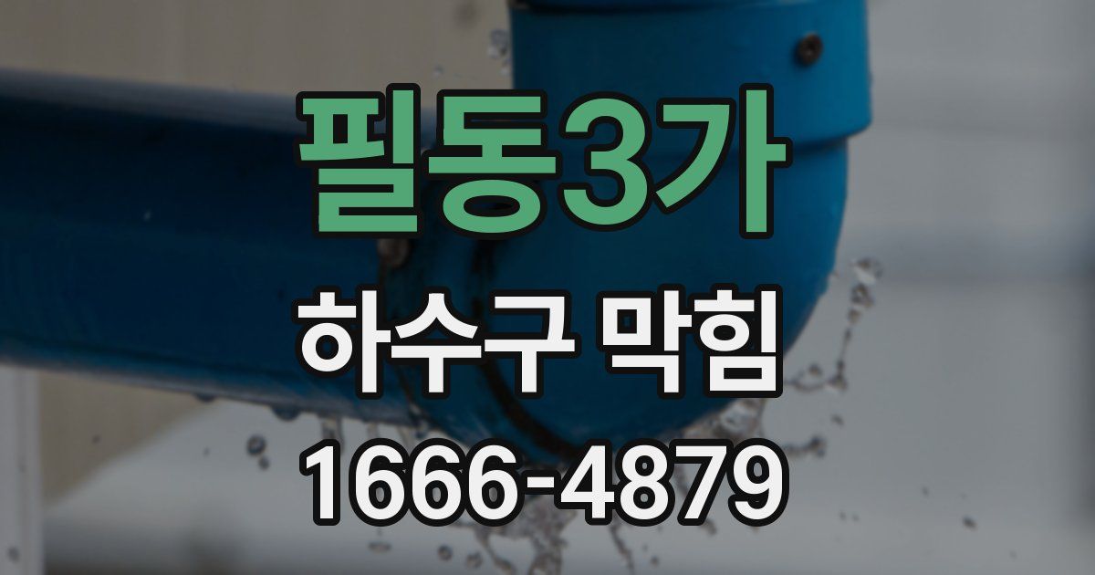 필동3가 하수구 막힘