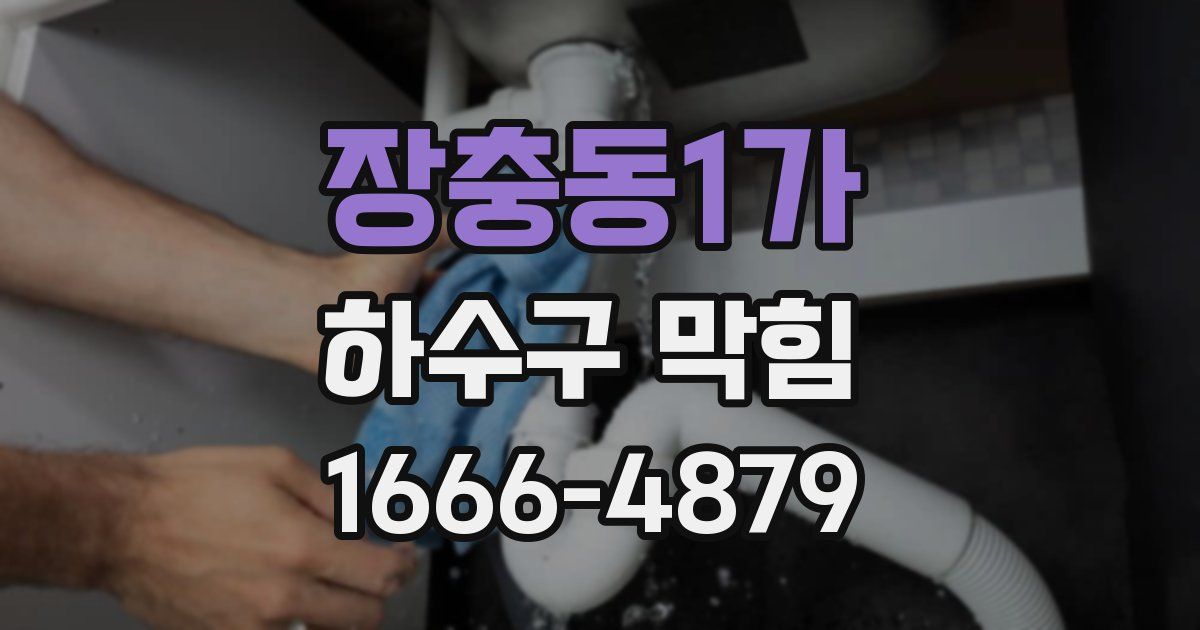 장충동1가 하수구 막힘