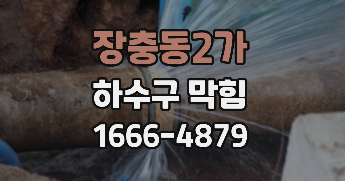 장충동2가 하수구 막힘