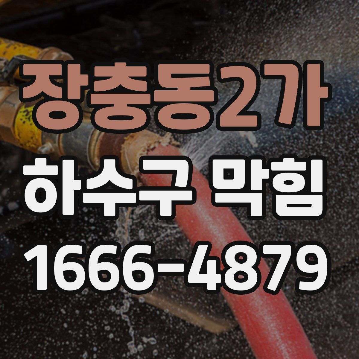 장충동2가 하수구 막힘