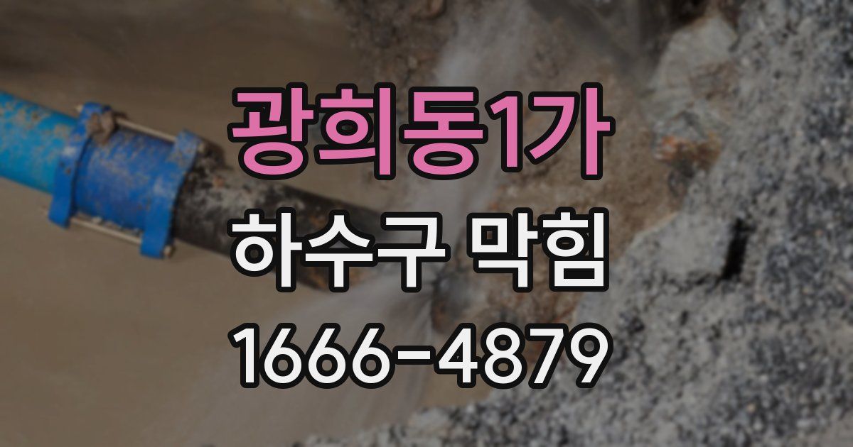 광희동1가 하수구 막힘