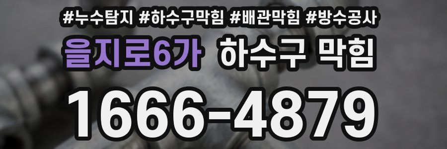 을지로6가 하수구 막힘