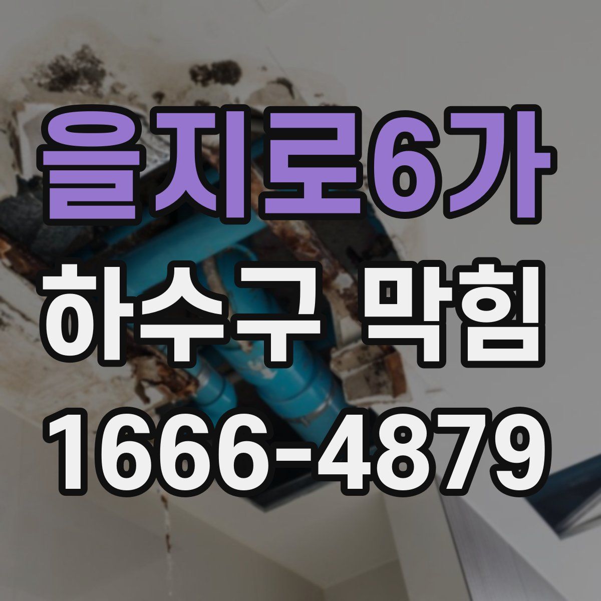 을지로6가 하수구 막힘