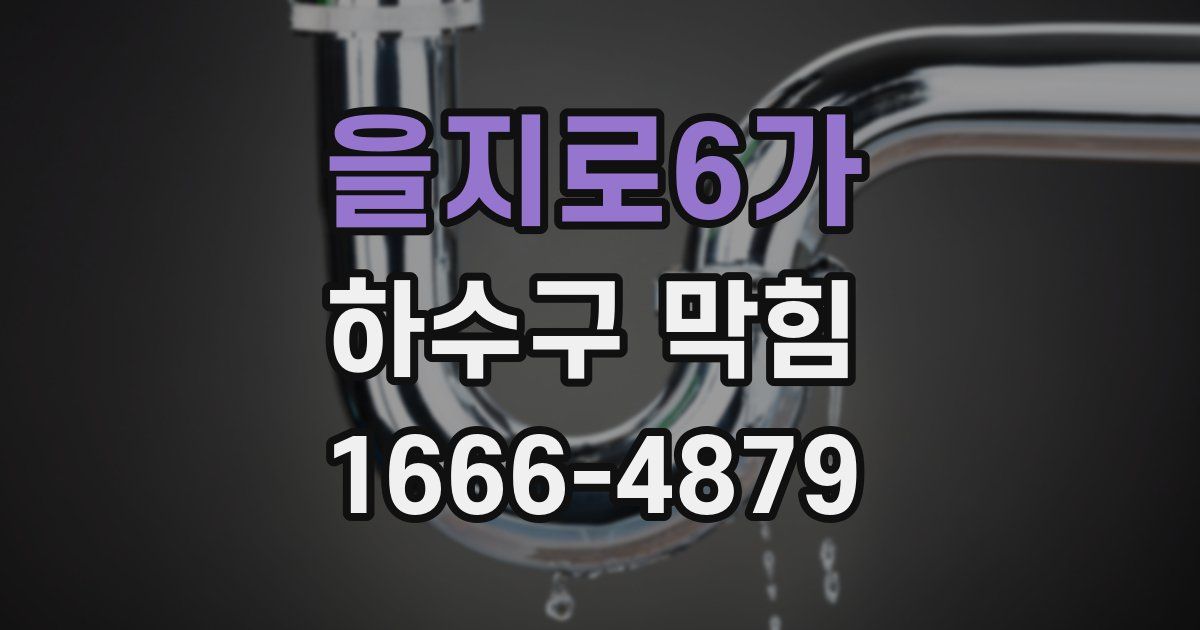 을지로6가 하수구 막힘