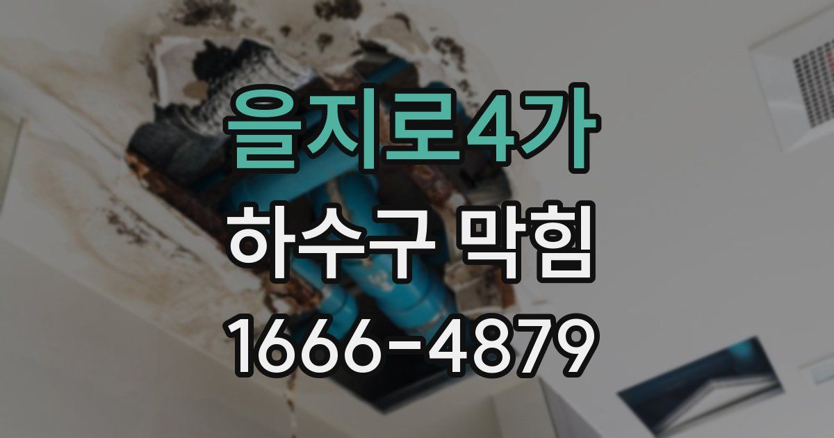 을지로4가 하수구 막힘