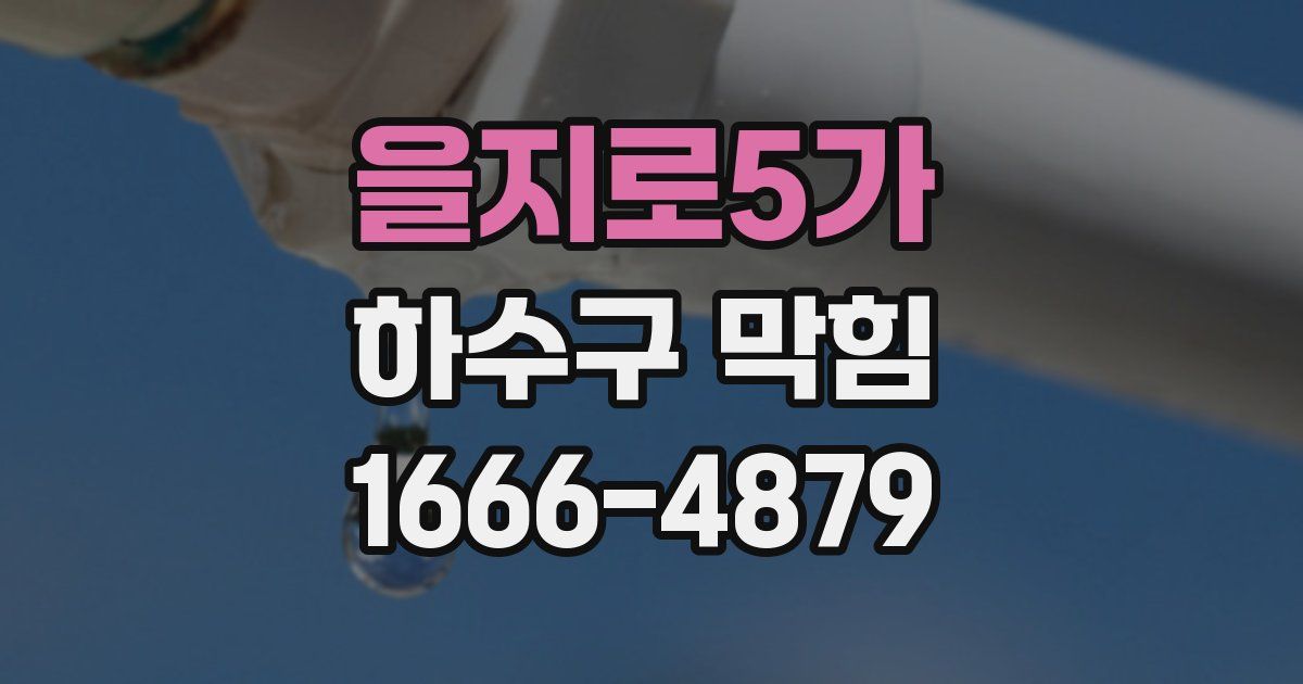 을지로5가 하수구 막힘